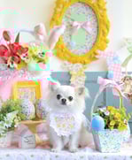 撮影会のお写真満載