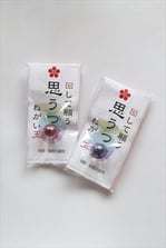 綱敷天満宮「思うつぼねがい玉」