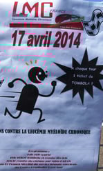 LMC FRANCE LYCEE JACQUES BREL LYON COURSE CONTRE LEUCEMIE MYELOIDE CHRONIQUE 2014 recherche Docteur franck nicolini