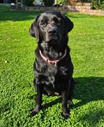 Arno Frey Lager / Produktion Technofond Gießereihilfsmittel GmbH