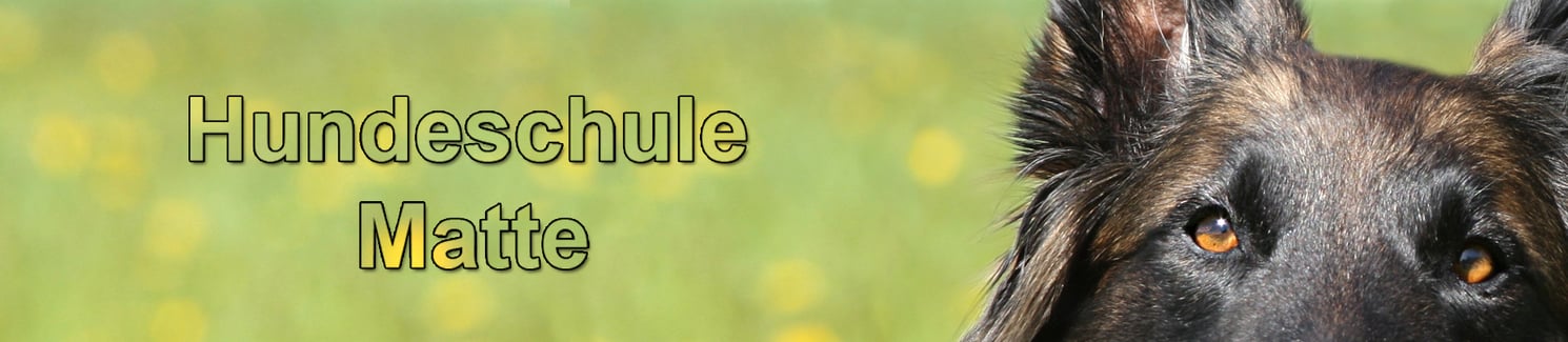Hundeschule Matte von Conny Mueller, anerkannte Gruppenleiterin SKG und SKN-Ausbilderin.