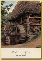 orthe, moulin, peyrehorade, landes, aquitaine, peche, lamproie, adour, gave, arthous, cagnotte, sorde, barthes, radelage, alose, saumon, port de lanne, couralin, hastingues,  tilhole, galupe