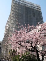 足場組立　Ｈ24・3・29