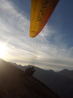 Sommerlicher Abendflug