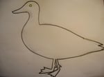 Draw your version of the duck onto some paper.