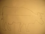 Draw the cow onto a piece of paper.