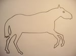 Draw horse onto paper.