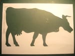 Cow cut out!
