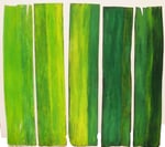 Titel: lichtvolles Wachstum Tempera auf gewelltem Furnier, Vorderseite Grün, Rückseite Gelb: 5 mal 34cm/116cm frei beweglich