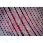 Titel: Geheime Entwicklung, Tempera auf Papier, gerahmt 100cm/70cm