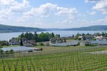 Wein- und Gemüsebau, Bodensee