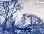 Cyanotype, Alternative Photography