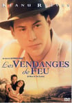 "Les vendanges de feu" (1995) par MyLoveQ