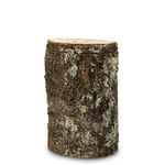 Baumstamm Eiche 1002 / Fr. 360.-