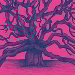  Sauropoda / The Overstory / 34.50