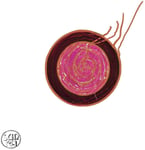 Sun Ra / Sleeping Beauty / CHF 39.50