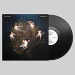 Floodlights / Underneath / CHF 36.50