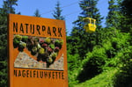 Naturpark Nagelfluhkette_Hochgratbahn