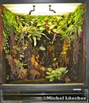 Terrarium 50*50*60cm (L*T*H) 