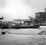Das gefrorene Hafenbecken 1 im Rheinhafen Basel im Winter 1962/1963 (wochenlang bis 20 Grad unter Null)