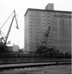 Die Krananlagen und das riesige Silo der NEPTUN im Hafenbecken 2 im Jahre 1982 (der Kran links wurde einige Jahre später zum FCB-Kran umgemalt)1982