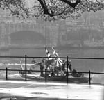 Vogel Gryff 1959, Ankunft des Wilden Mannes im Klingental