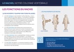 LE RACHIS REMPLIT QUATRE FONCTIONS MAJEURES