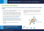 Les causes des listhésis sont très variées. Tous les spondylolisthésis ne provoquent pas de symptômes