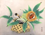 秋果小禽　F6号　紙本彩色　©INOUE KIYOHARU
