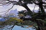 Nationalpark Torres del Paine, Chile