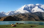 Kirgisen-Jurten am Karakul-See, Pamir, Xinjiang-Provinz, VR China