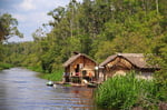 Siedlung am Sekonyer River, Tanjung Puting Nationalpark, Borneo