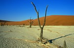 Dead Vlei, Namib Naukluft Park