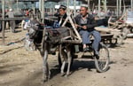 Sonntagsmarkt, Kashgar, Xinjiang-Provinz, VR China