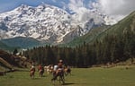 Märchenwiese mit Nanga Parbat, Pakistan