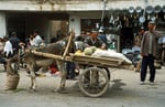 Sonntagsmarkt, Kashgar, Provinz Xinjiang, VR China