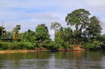 Upper Suriname River, Surinam