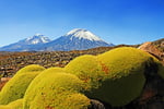 Vulkane Pomerape (6.222 m) und Parinacota (6.348 m), Nationalpark Lauca, Chile 