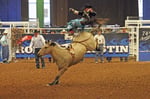 Rodeo, Austin, Texas