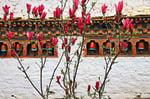 Kuichu Lhakhang Tempel
