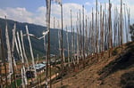 Punakha-Tal