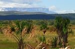 Tafelberge (Tepuis), Gran Sabana