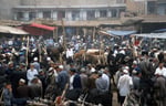 Sonntagsmarkt, Kashgar, Provinz Xinjiang, VR China