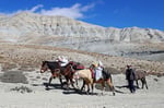 Auf dem Weg nach Chhusang, Mustang