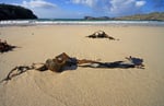 Sandwood Bay, Oldshoremore, Nordwest-Schottland