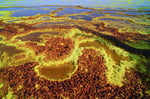 Säurevulkan  Dallol, Danakil-Senke, Äthiopien