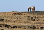 Kamelkarawane, Lake Afrera, Äthiopien