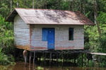 Hütte am Sekonyer River, Tanjung Puting Nationalpark, Borneo