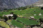 Terassenfelder im Hunza-Tal, Pakistan