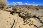 Stove Pipe Sand Dunes, Death Valley, Nevada